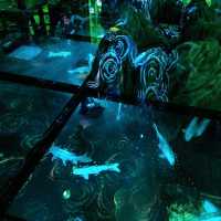 美術館のような水族館　神戸アトア（átoa）