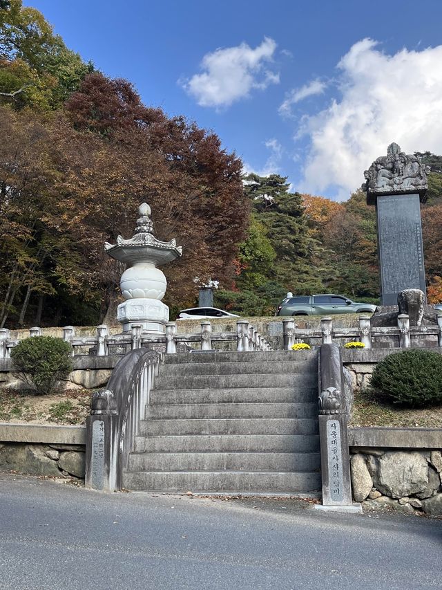 가을단풍은 해인사로~