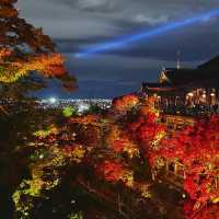 다음주 오사카여행 가는 사람 주목! 기요미즈데라 라이트업
