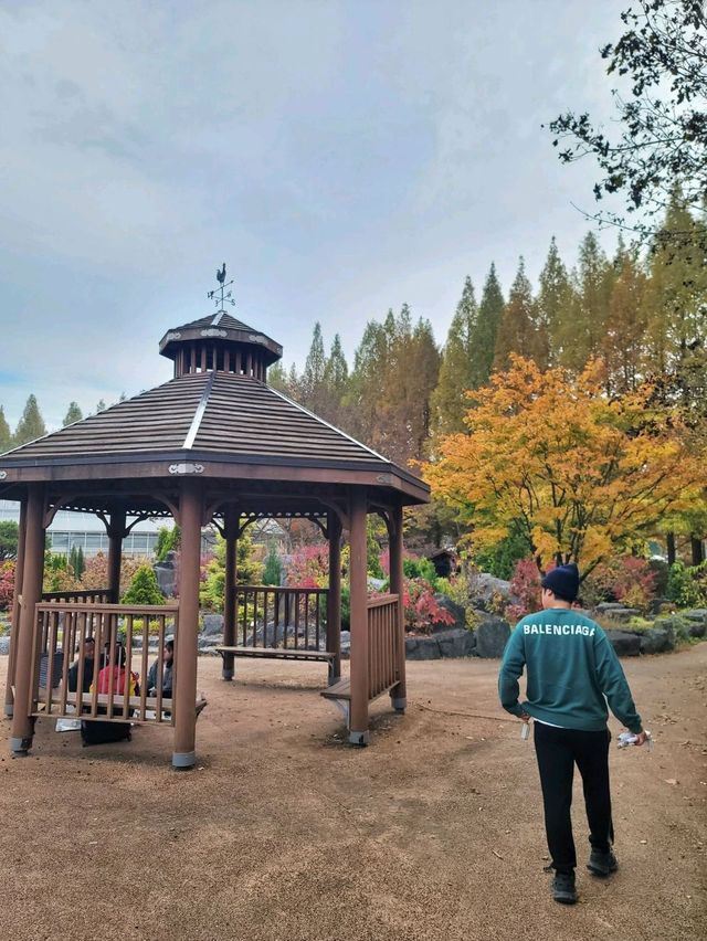 귀여운 전동차도 탈수 있는 경상남도 수목원🍂