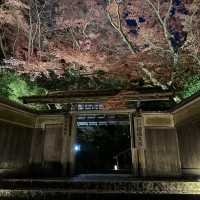 【京都】絶景！瑠璃光院の紅葉