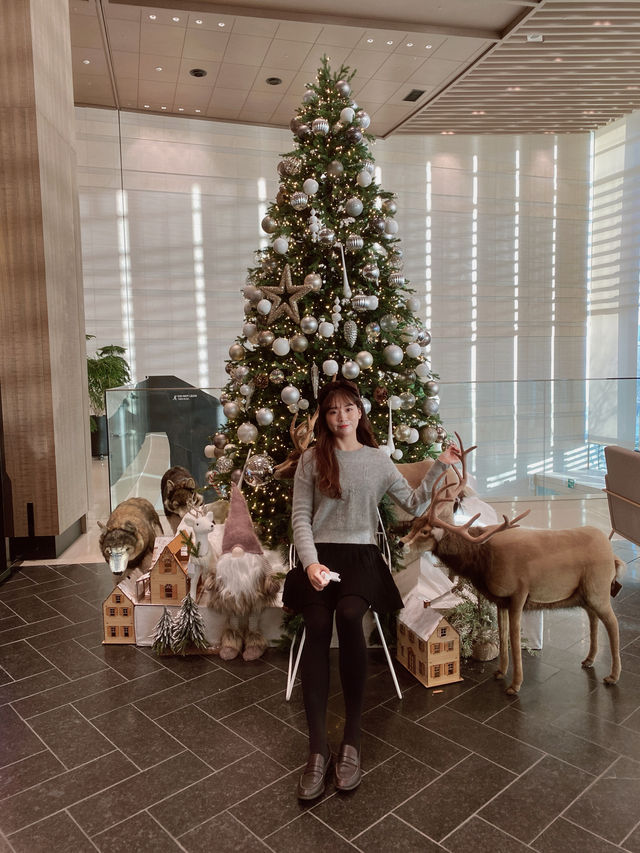 경주 보문호수 배경으로 남기는 크리스마스🎄