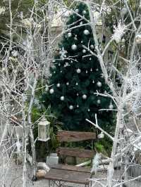The Creeper House 🎄🔔