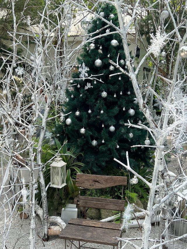 The Creeper House 🎄🔔