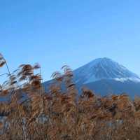 大石公園