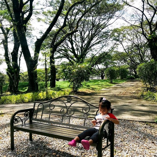 PUBLIC PARK IN UNIVERSITY?