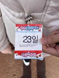 눈썰매 타며 동심으로 돌아가는 경기 양주 눈꽃축제 나들이❄️