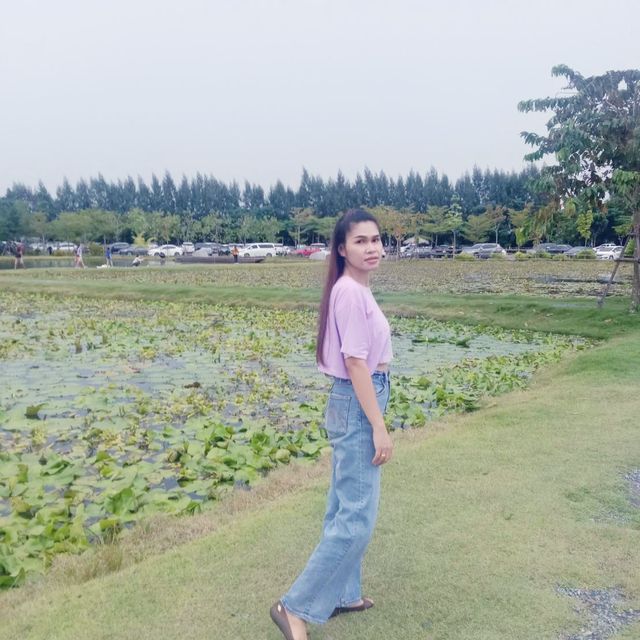 ดูบัวคาเฟ่