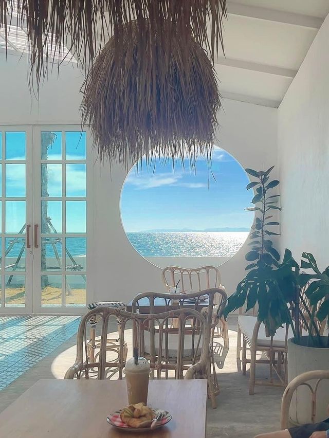 หนีแมวมา 𝙑𝙤𝙣𝙜𝙤𝙡𝙚. 𝙗𝙚𝙖𝙘𝙝 𝙘𝙖𝙛𝙚 🏝