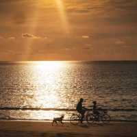 หาดบางเทา