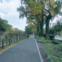 名古屋公園漫步行