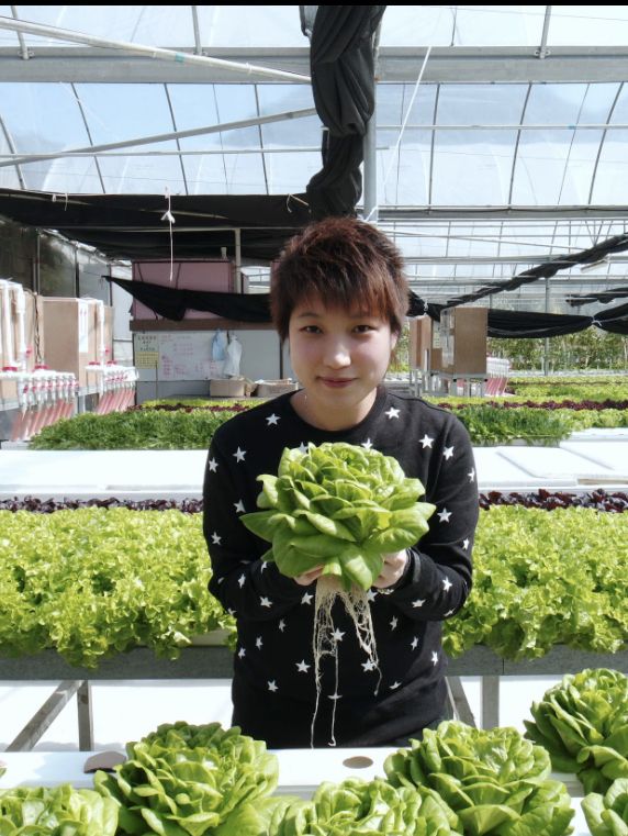 參觀粉嶺鶴藪永霖花園及水耕菜場