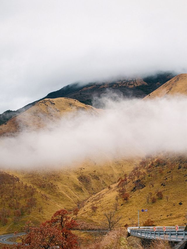 日本九州 | 爬山一座金色的火山🌋