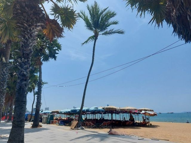 หาดพัทยา ในวันฟ้าใส