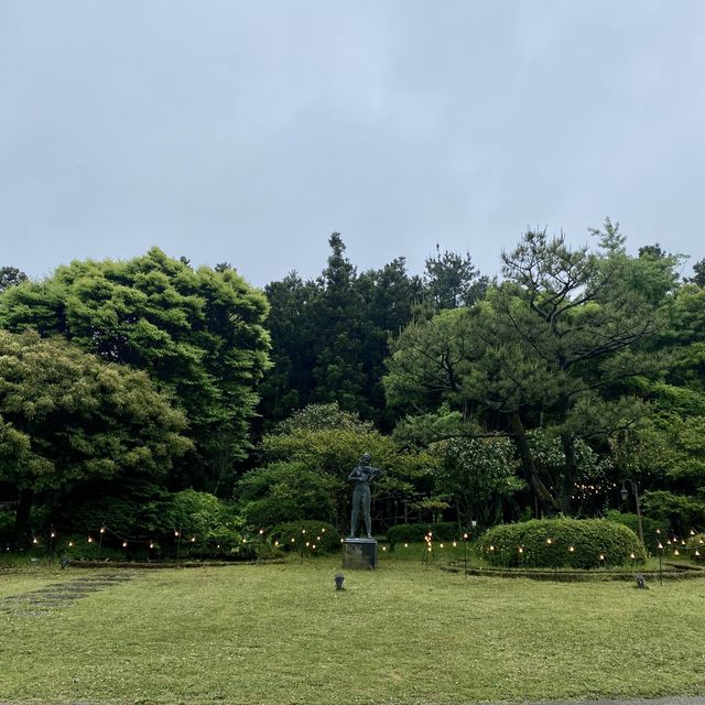🌳☕️피톤치드 뿜뿜 “카페갤러리”