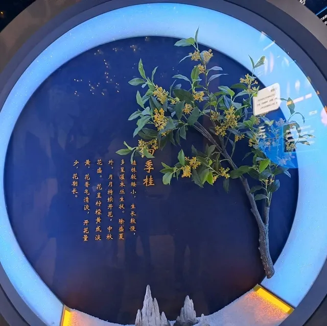 桂花公社的參觀的個人感受