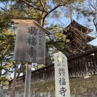 古都・奈良県「興福寺」国宝の五重塔は圧巻です
