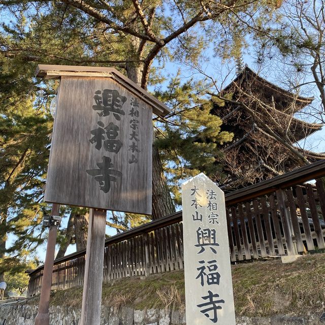 古都・奈良県「興福寺」国宝の五重塔は圧巻です