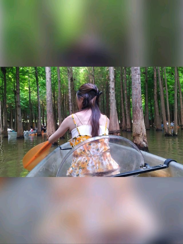 到昆明‘撈漁河濕地公園’划船去-位置實戰攻略