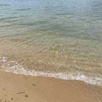 【フェリーに乗って島旅へ🚢】小豆島観光🫒
