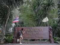 หุบป่าตาด ป่าดึกดำบรรพ์ จ.อุทัยธานี