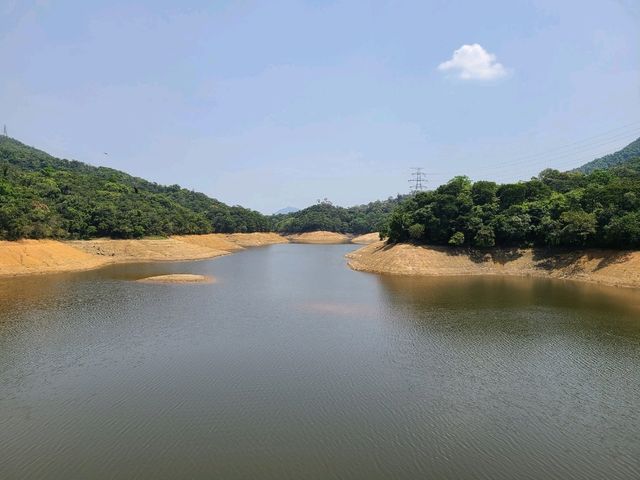 【水塘界四小龍~金山郊野公園🐒】