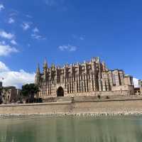 【スペイン】マヨルカ島中心地、パルマ観光🏝️