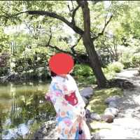 淺草、隅田公園🌸、晴空塔散策