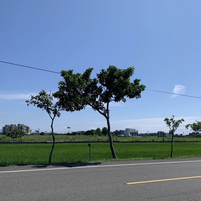 宜蘭景點｜五結鄉與第五季鄉野別墅
