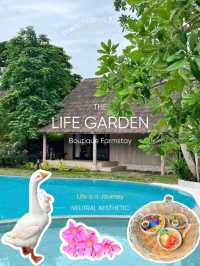🧤ที่พักฟาร์มสเตย์สุดน่ารัก The life garden