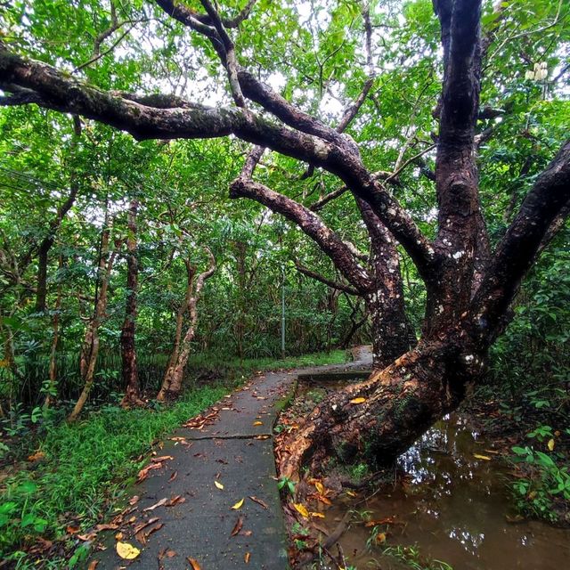 雷雨消退後，帶來一段景色優美的行程