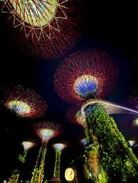 Stunning Supertrees at night✨