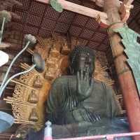 日本必到✍️奈良東大寺