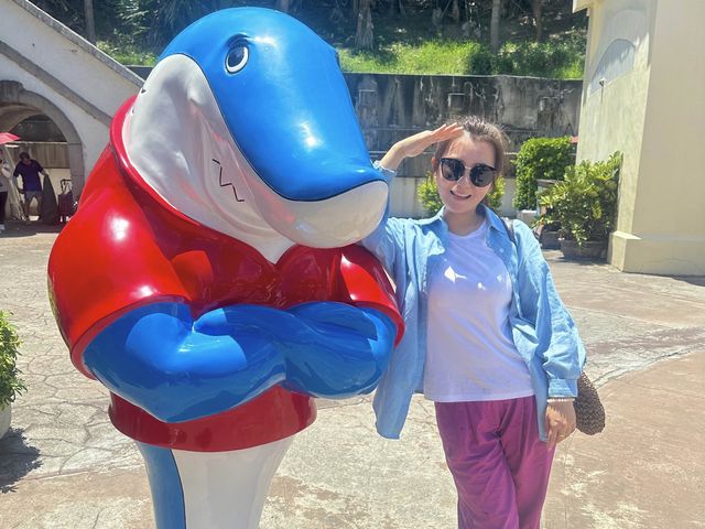 【 2023 花蓮旅遊 】遠雄海洋公園 海豚 海獅 台灣海洋公園