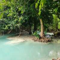 สวนรุกขชาติวังก้านเหลือง
