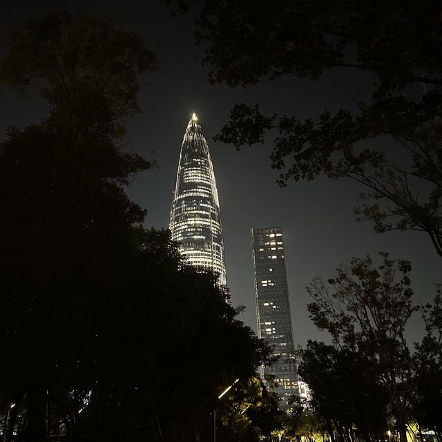 심천인재공원, 중국 선전의 대표 야경명소✨