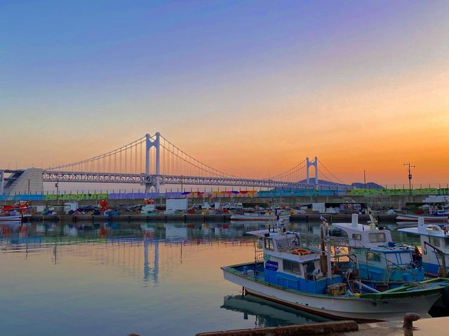 부산 광안대교를 보며 즐기는 겨울 제철 방어, 민락어민활어직판장