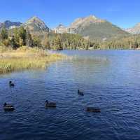 斯洛伐克 上塔特拉山 斯特爾布什克湖Strbske Pleso 