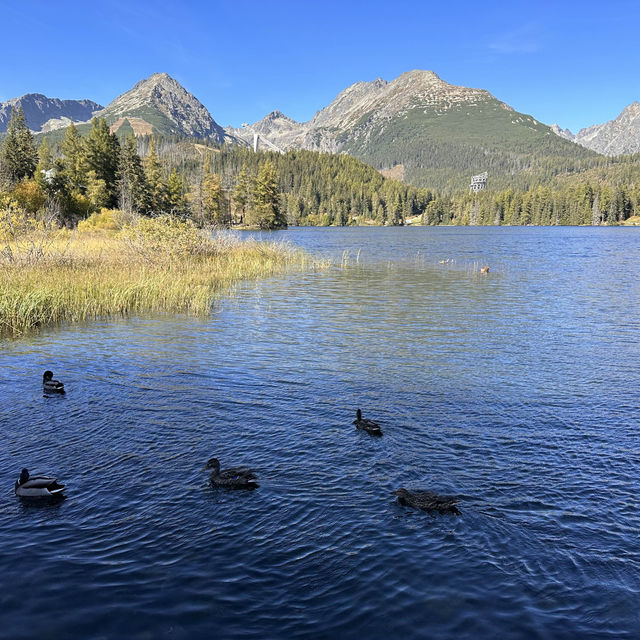 斯洛伐克 上塔特拉山 斯特爾布什克湖Strbske Pleso 