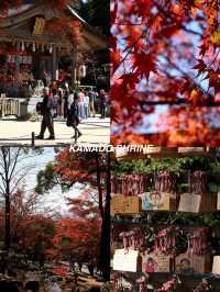 8 ที่เที่ยวภูมิภาคคิวชู ประเทศญี่ปุ่งงง 🍁🍂