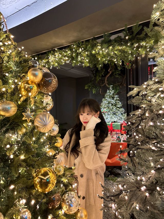 대형 트리가 있는 카페 대구[랑데자뷰]🎄