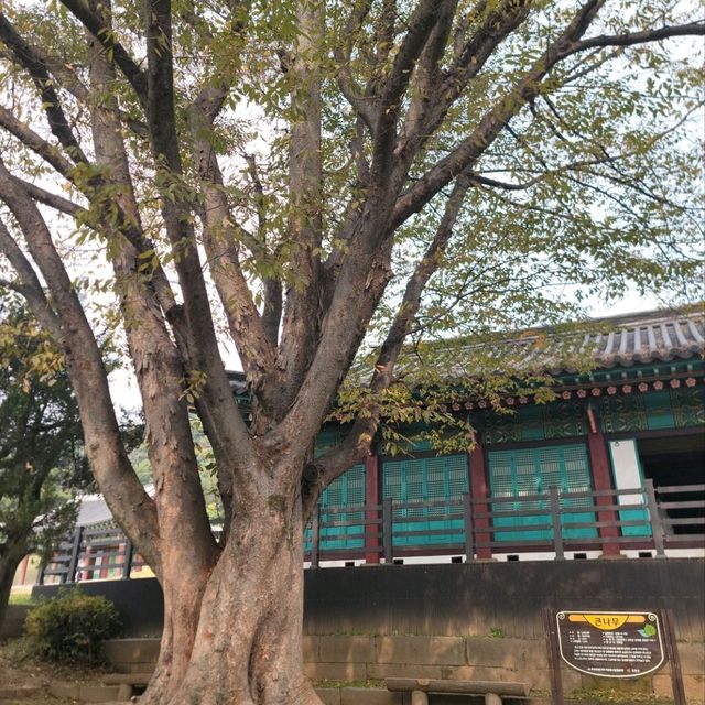 국내여행 인천 강화도 여행할 때 필수 코스 중 한 곳인 강화 고려 궁지 