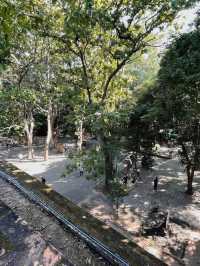 วัดอุโมงค์ (สวนพุทธธรรม)