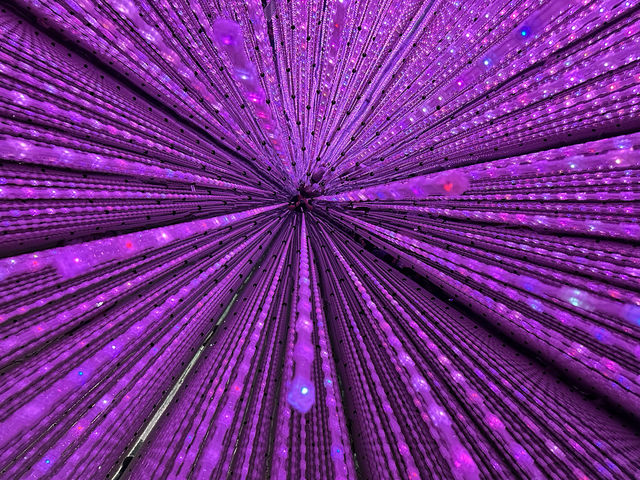 東京｜沉浸式體驗展覽