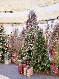 🎄太古廣場🎄奇幻森林
