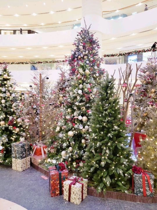 🎄太古廣場🎄奇幻森林