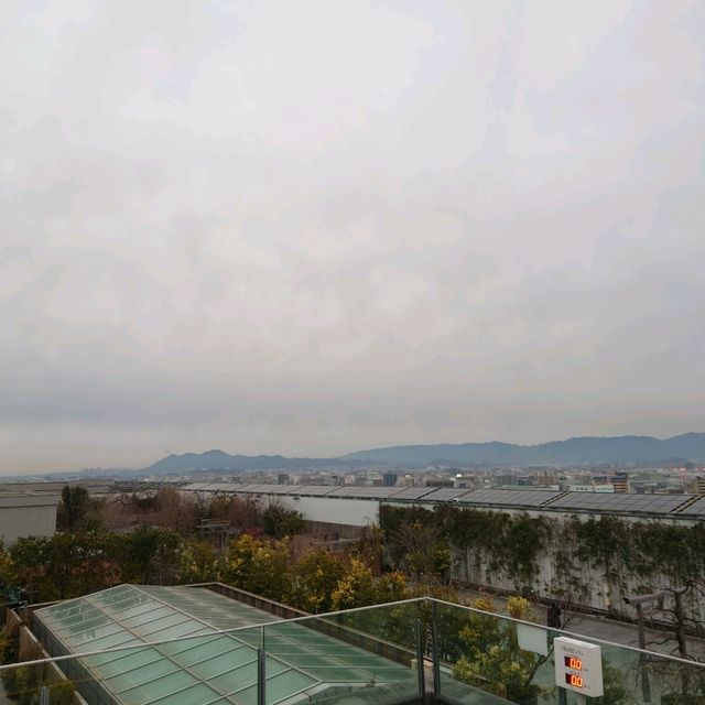 福岡観光2023 【つばめの杜広場】