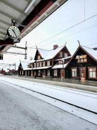 ถึงแล้ว!! Kiruna ดินแดงเเห่งการตามล่าหาแสงเหนือ