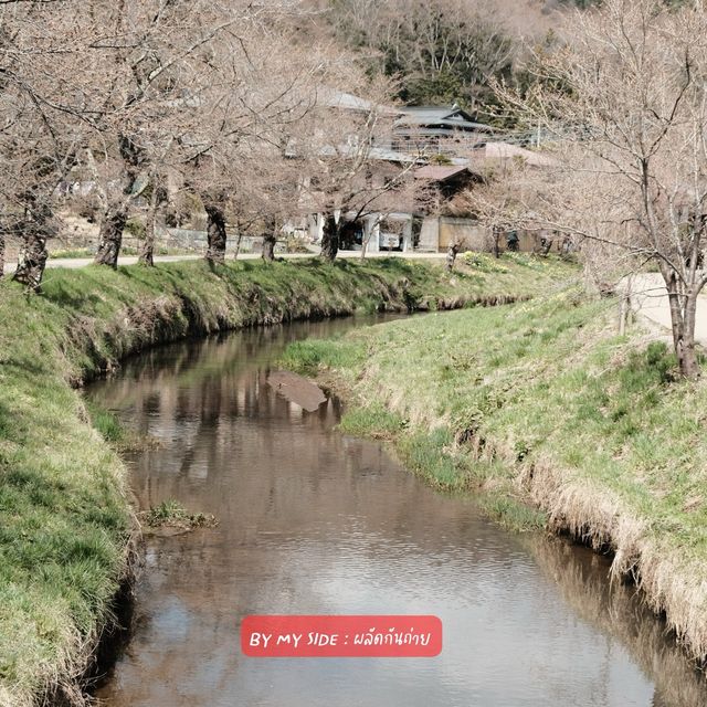 📍Oshino Hakkai (หมู่บ้านน้ำใส)