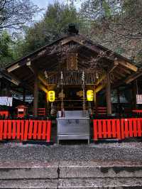 A shrine inside the bamboo forest ⛩️🕋